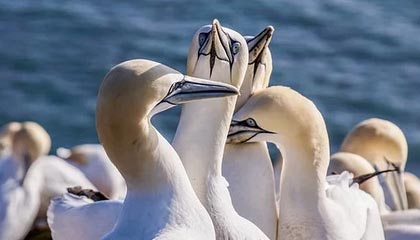 宝应县伴游，定制QQ：3494206190微信：act1322